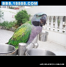 nEO_IMG_PA050082.jpg