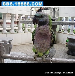 nEO_IMG_PA050067.jpg