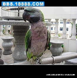 nEO_IMG_PA050074.jpg