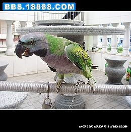 nEO_IMG_PA050103.jpg