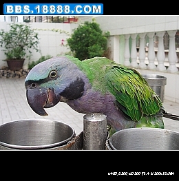 nEO_IMG_PA050085.jpg