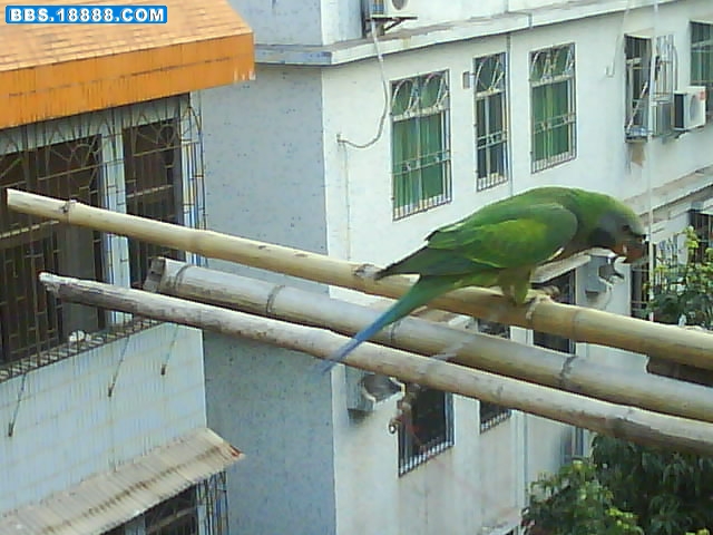 DSC01516.JPG