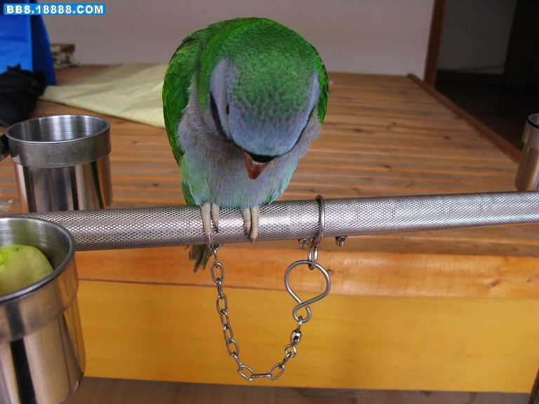 nEO_IMG_IMG_1212.jpg