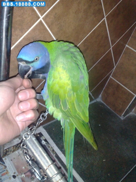 20081028156.jpg