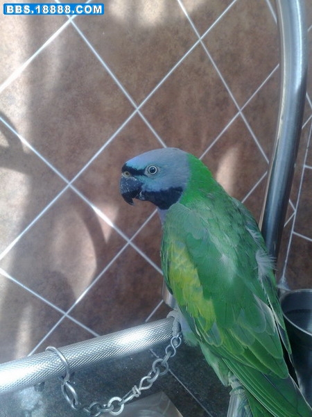 20081019142.jpg
