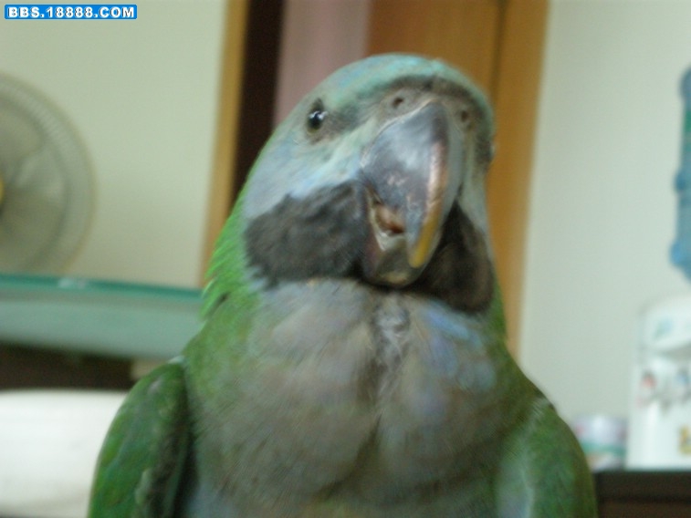 PA110113_副本.JPG