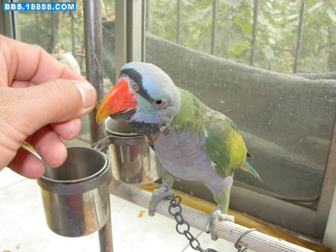 DSCN2652_缩小大小.JPG