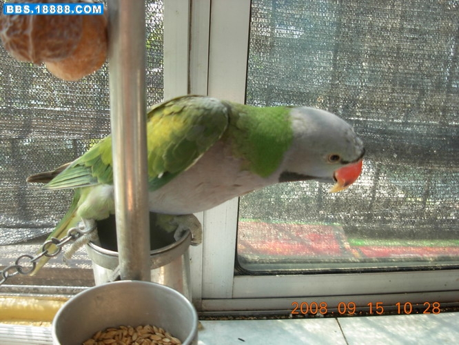 DSCN2558_缩小大小.JPG
