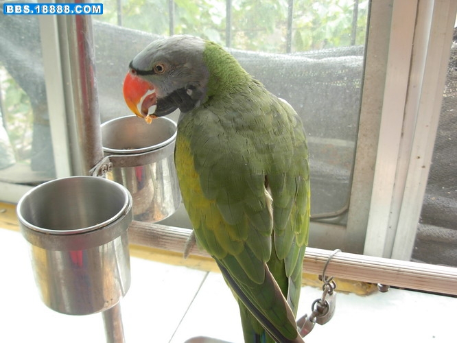 DSCN2637_缩小大小.JPG