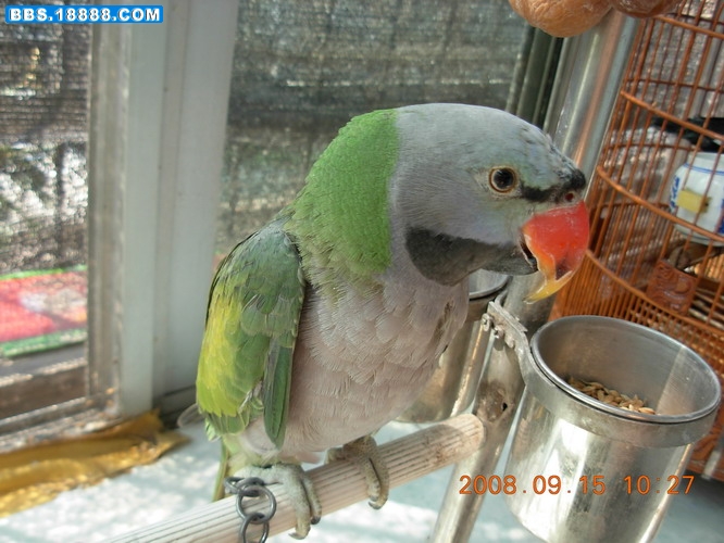 DSCN2554_缩小大小.JPG
