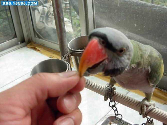 DSCN2641_缩小大小.JPG