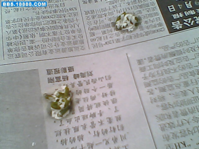 IMG0374A.jpg