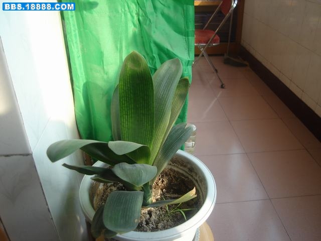 DSC05888.JPG
