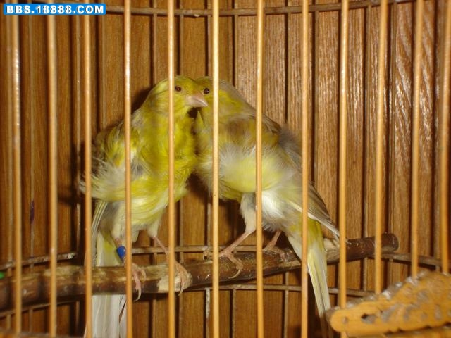 DSC05942.JPG
