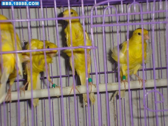 DSC05459.JPG