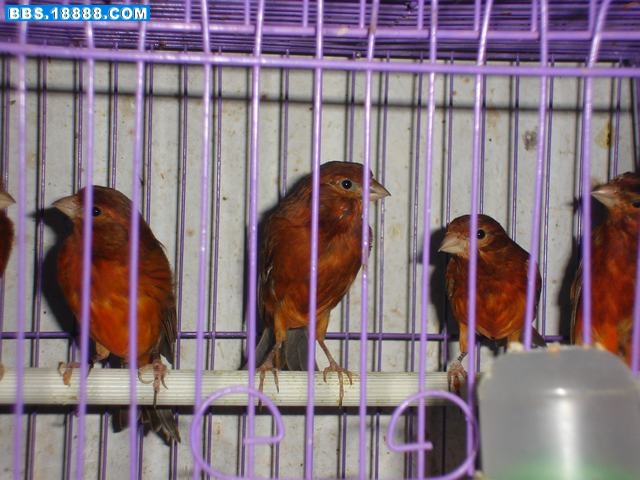 DSC05516.JPG