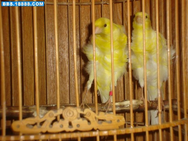 DSC05926.JPG