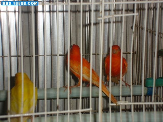 DSC05664.JPG