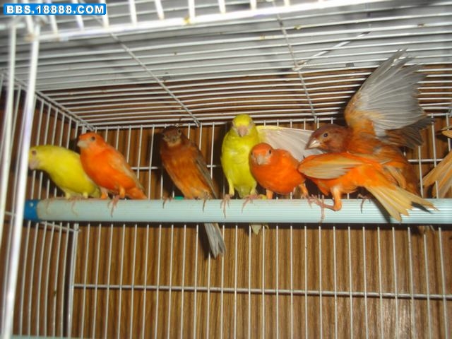 DSC05777.JPG