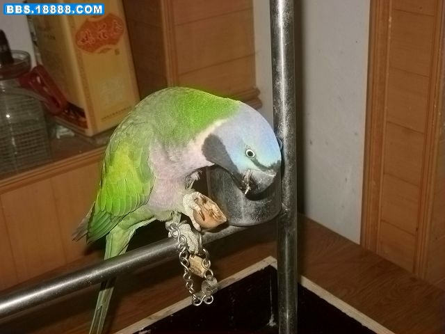 nEO_IMG_IMG_0416.jpg