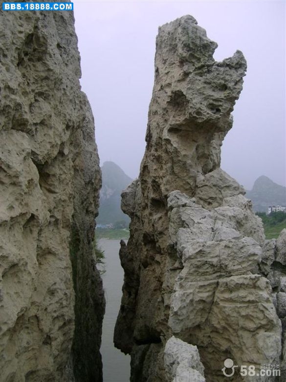 太湖石16.jpg