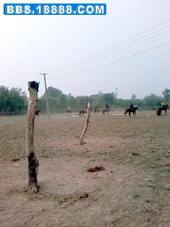 SP_A0189.jpg