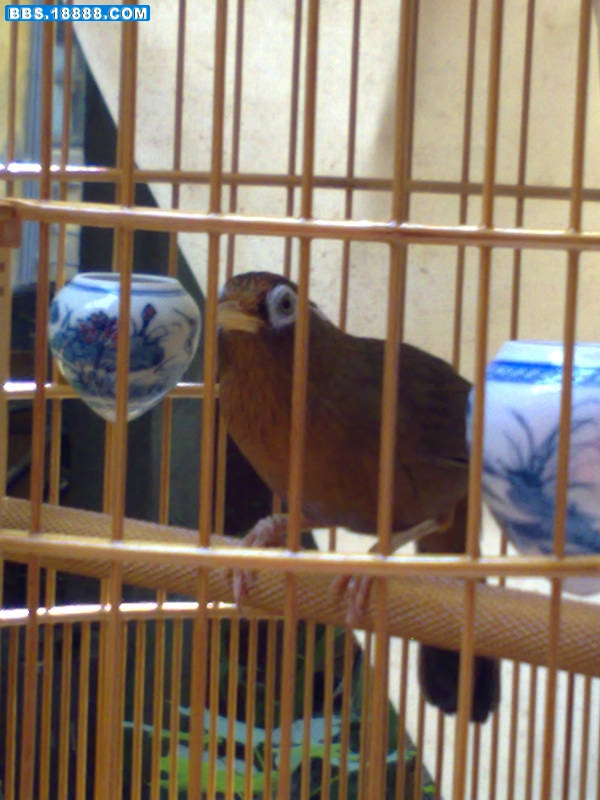 20081015547.jpg
