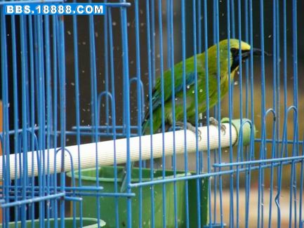 调整大小 DSCF0595.JPG