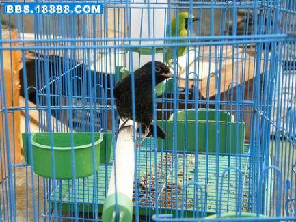 调整大小 DSCF0655.JPG