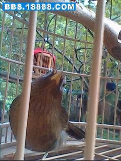 IMG0063A.jpg