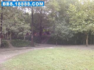 照片-0085.jpg