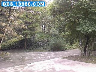 照片-0087.jpg
