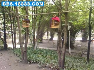 照片-0059.jpg