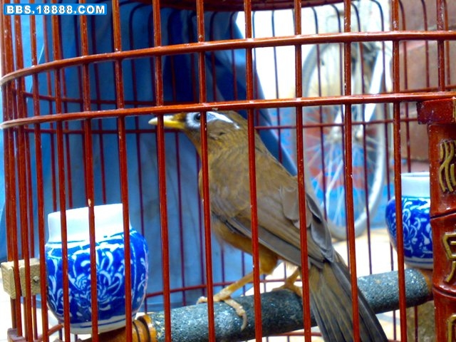 20081004702.jpg
