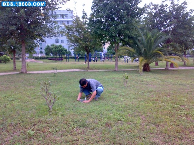 20081016730.jpg
