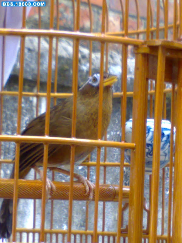 20081021764.jpg