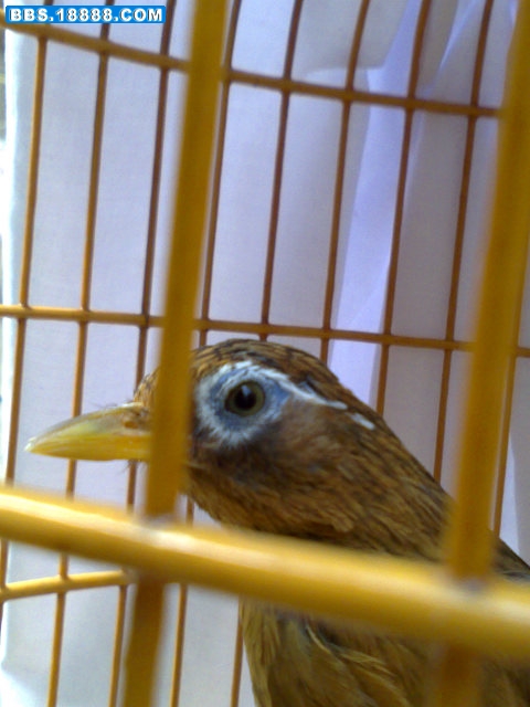 20081025901.jpg