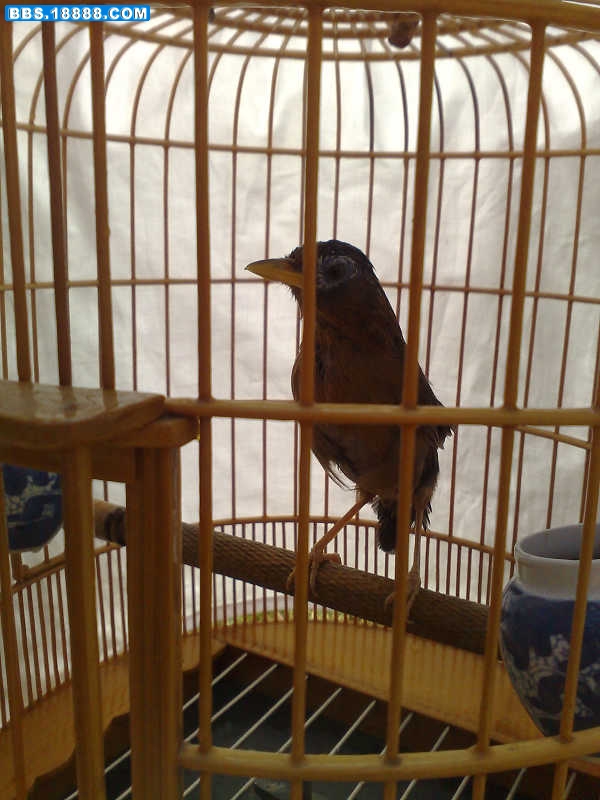 20081021817.jpg