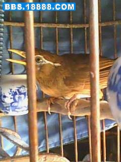 IMG0052A.jpg