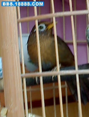 1015_145031.jpg
