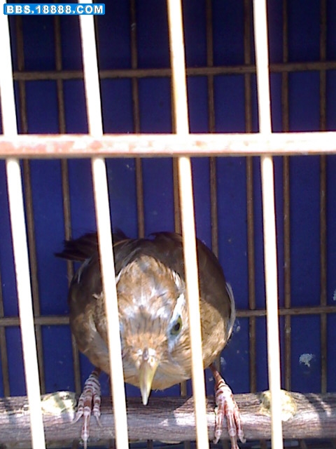 1008_100100.jpg
