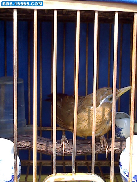 1008_114001.jpg