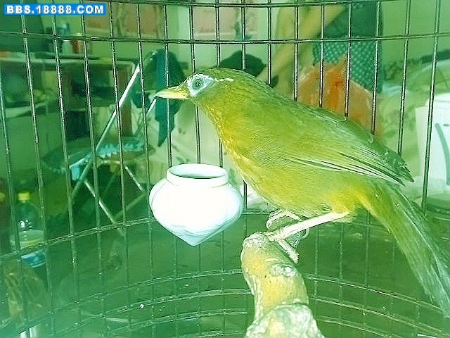25_145213_762dfc58dda47ac.jpg