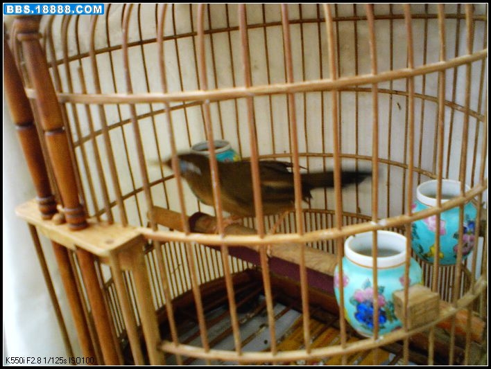 DSC00010_nEO_IMG.jpg