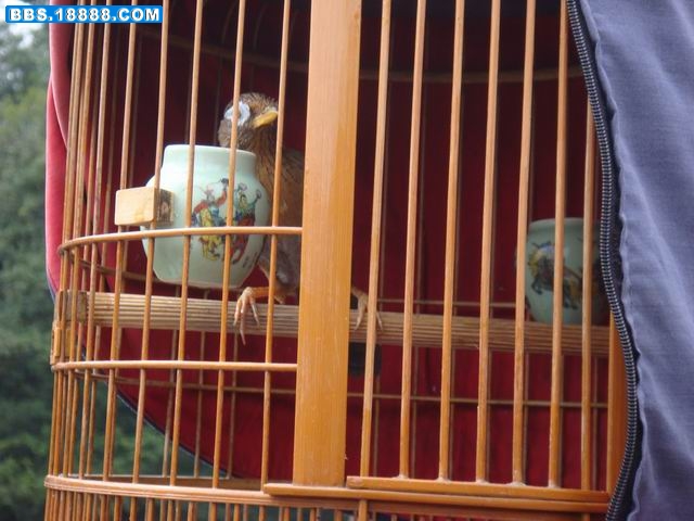 调整大小 DSC01360.JPG