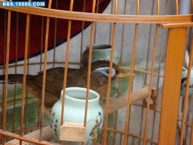 调整大小 DSC01408.JPG