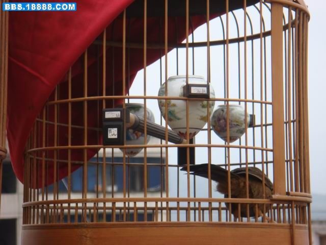 调整大小 DSC01421.JPG