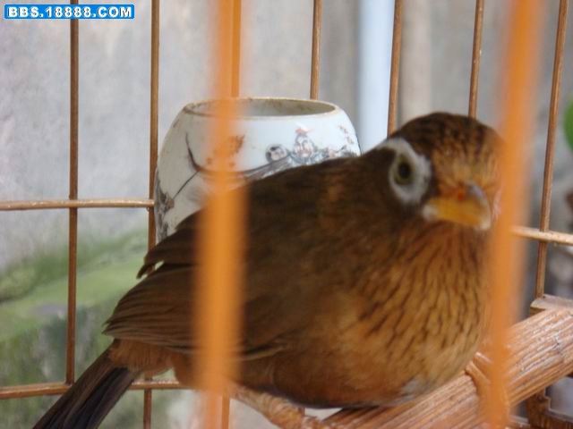调整大小 DSC01393.JPG
