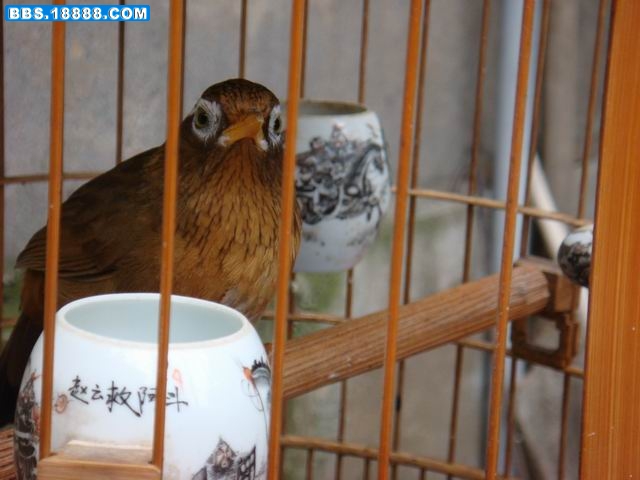 调整大小 DSC01396.JPG