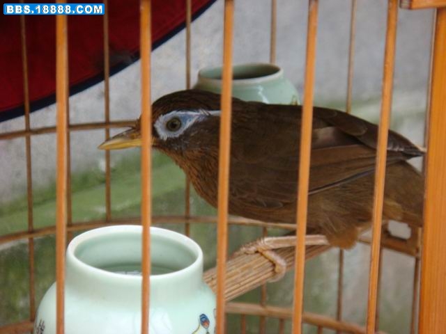 调整大小 DSC01399.JPG